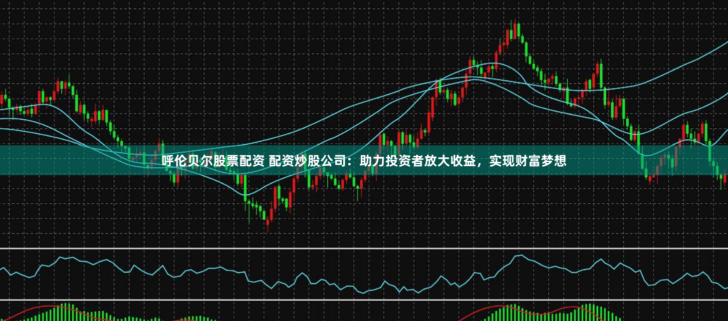 呼伦贝尔股票配资 配资炒股公司：助力投资者放大收益，实现财富梦想