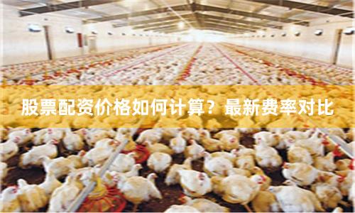 股票配资价格如何计算？最新费率对比