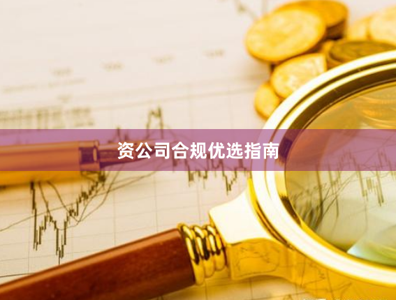 资公司合规优选指南